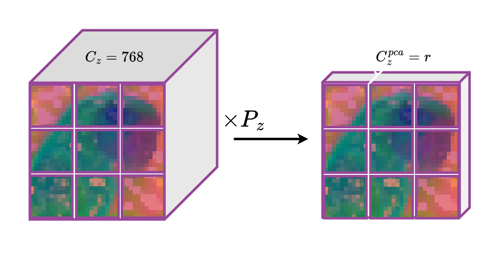 An example image